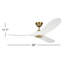 Maverick Downrod Ceiling Fan-12179903-101197727