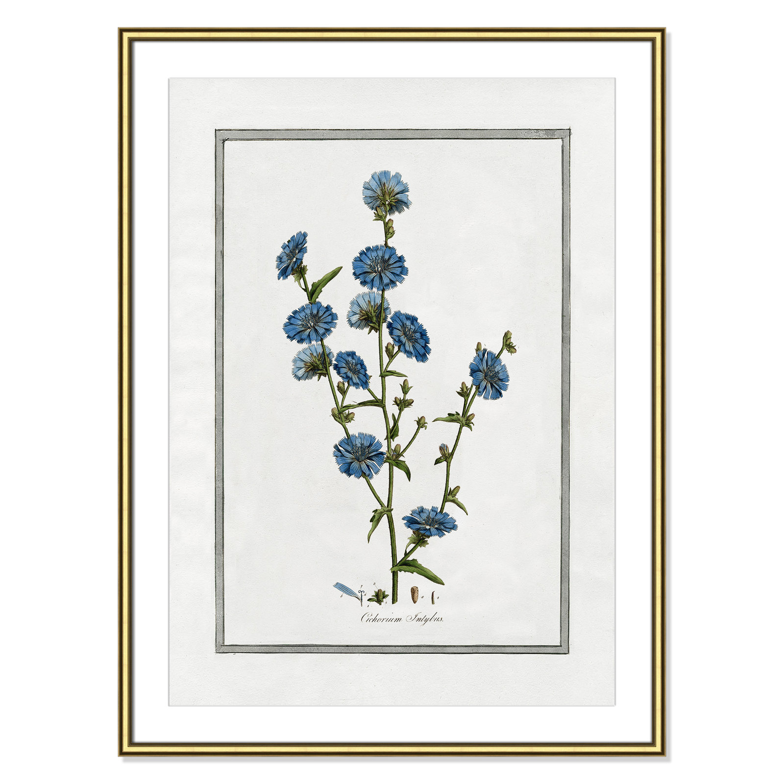 Colombe "Soft Botanical I" Print, Gold Framed, 26.75" W x 36.75" H