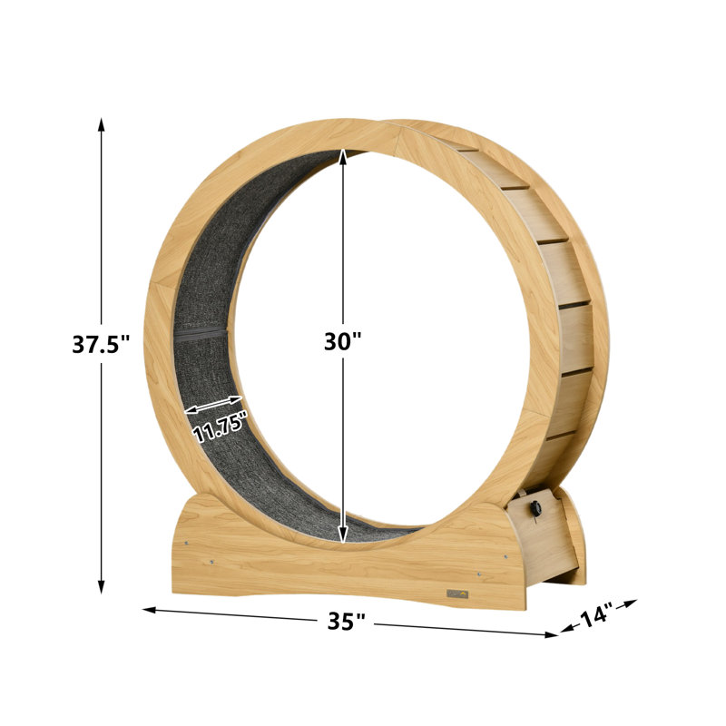Roue d'exercice pour chat