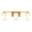 Irela 3-Light Vanity Light in Brass-877385033-918299681-918299680