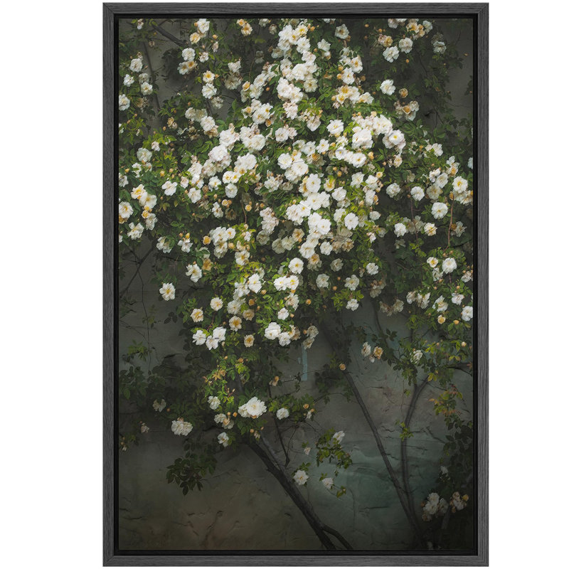 Roses en cascade, illustrations botaniques contemporaines, campagne française rustique, Noir, H 24 po x l 16 po