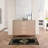 Burnie Oriental Black/Cream Area Rug-1365832765