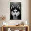 Husky sibérien Brampt-108669695