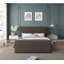 Chaylin Upholstered Bed-89998407-89998404