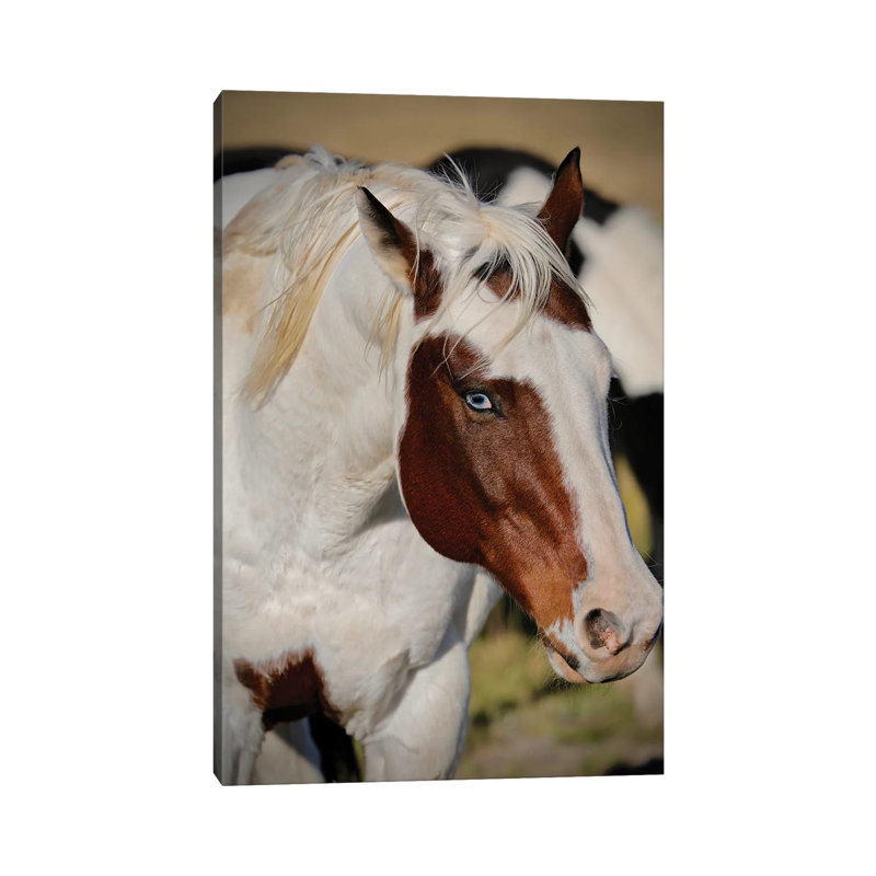 Blue Eyed Beauty I by Susan Vizvary - Wrapped Canvas Print, 20.32 cm H x 30.48 cm W