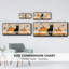 «Pumpkin Patch Cats Collection D», toile encadrée-1640131311