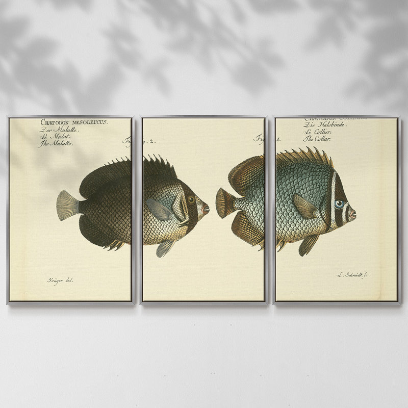 " Bloch Antique Fish V " 3 - Pieces, 24" H x 48" W x 2" D, Silver