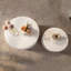 Ensemble rond Buerger avec base robuste-1024153483