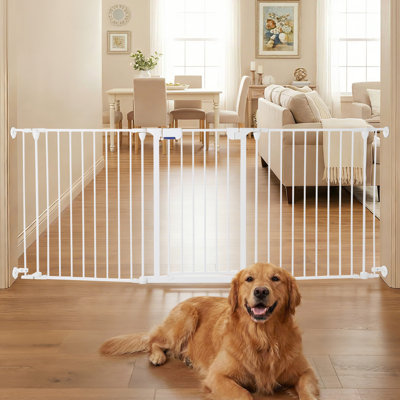 Barrière pliante en métal sans assemblage pour animaux 28,9 po de hauteur pour animaux avec porte coulissante, accordéon, extensible et à fixation murale pour l'intérieur et l'extérieur