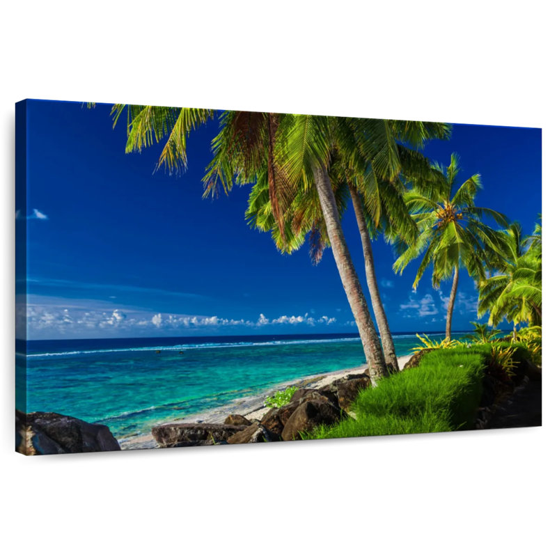 Palmiers Gillard Rarotonga, H 16 po x l 24 po