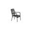 Rizal Loungechair Alumnium - Black /
