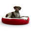 Lit pour chien Alyzae-1435972079-1435972075