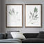 Simple sauge - ensemble de 2 reproductions d'art encadrées-1541205130-1578471020-1578471023