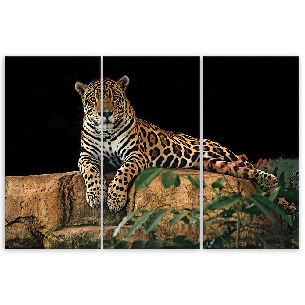 Leinwandbild Leopard-Panther-Katzen-Tier