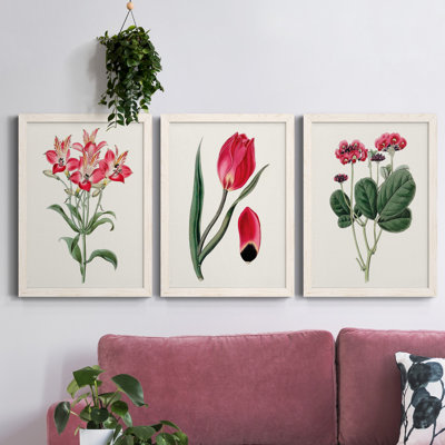 Roseat Blooms I - ensemble de 3 peintures sur toile encadrées