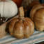 Figurine citrouille Camerson