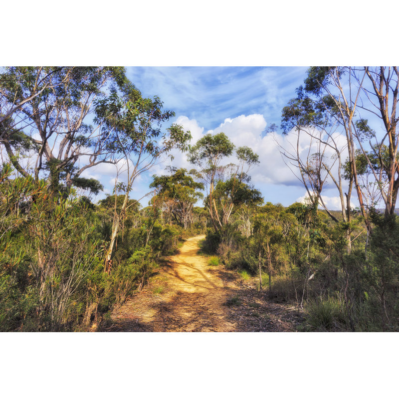 Gumtrees by Zetter - Wrapped Canvas Print, 51cm H x 76cm W