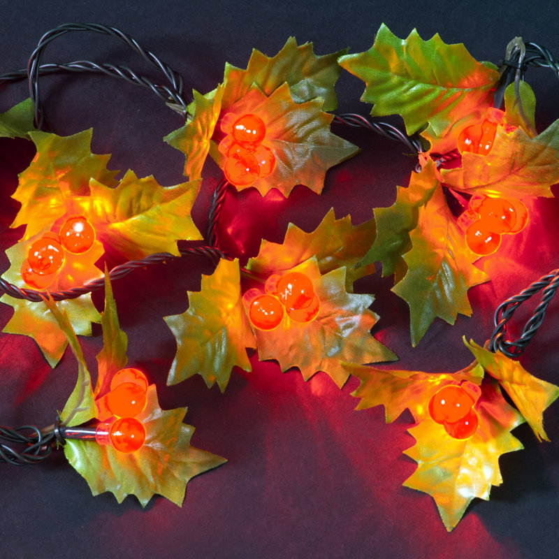 3.6cm String Lights