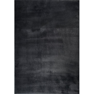 Schnabel Solid Colour Area Rug
