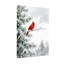 Animaux, cardinal d'hiver sur une branche de pin enneigé-1993701387