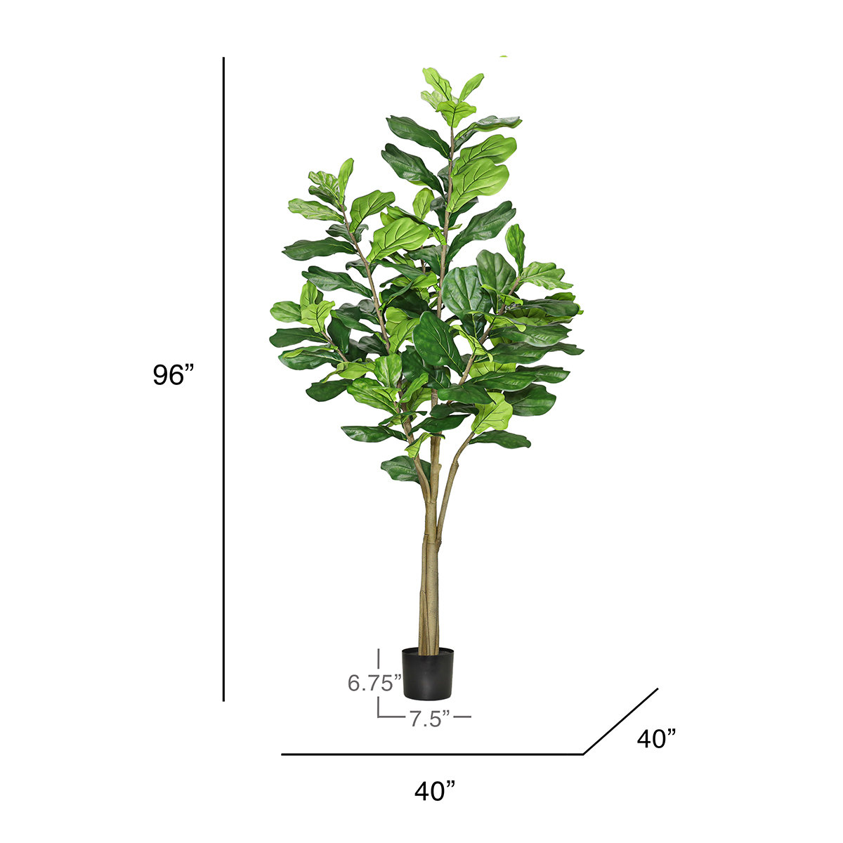 96" Fiddle Leaf Fig Tree in Pot, 96"  x 40"