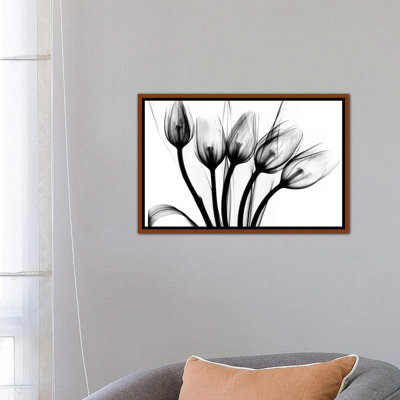 «Marching Tulips» par Albert Koetsier - impression d'art graphique