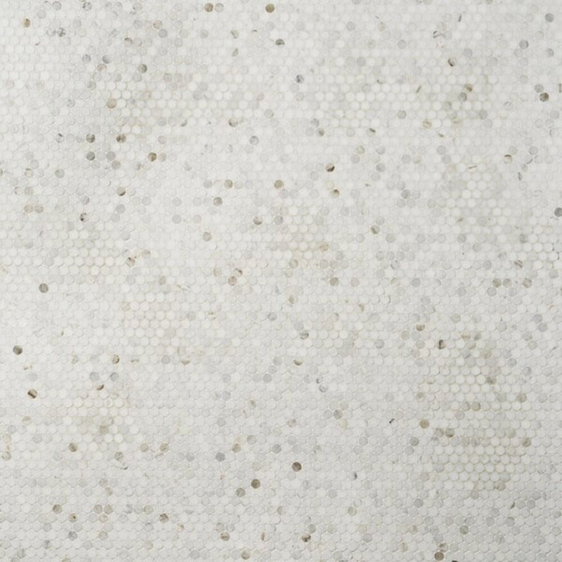 Alaska White 2" Hexagon Polished Marble Mosaic Tile