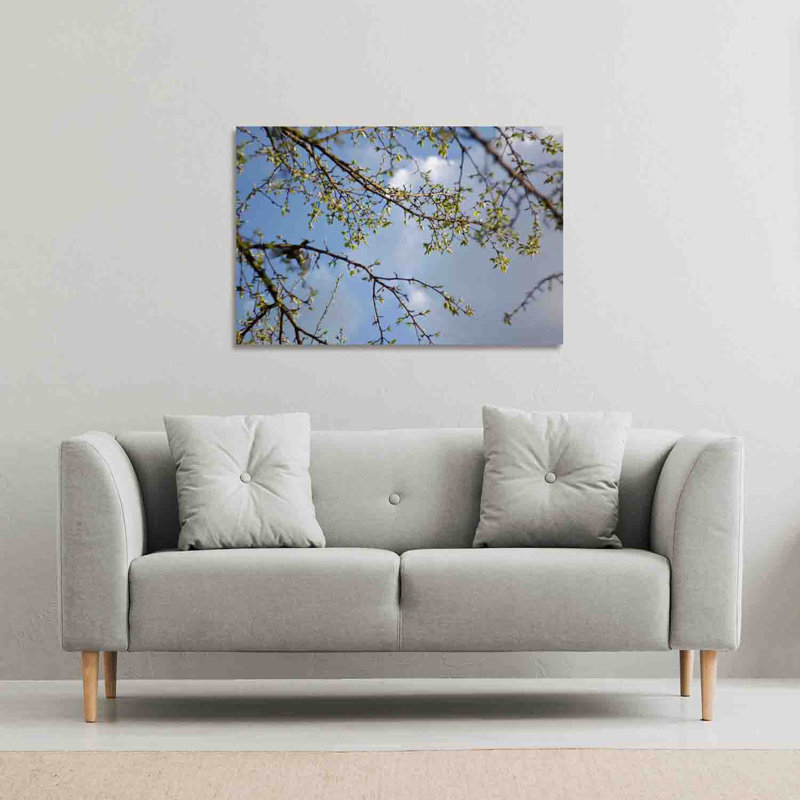 Tree Branches And Sky by Andrew Lee - Wrapped Canvas Print, 41cm H x 61cm W x 4cm D