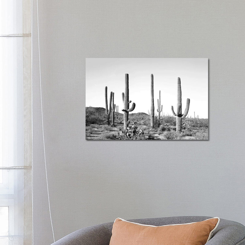 «Grey Cactus Land» par Sissi & Seb - impression encadrée, H 18 po x l 26 po x P 1,5 po, Pas de tapis, Toile tendue