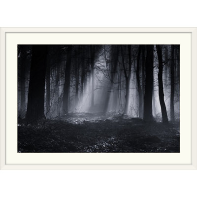 «Capela Forest» par Julien Oncete, Straub, reproduction de photo