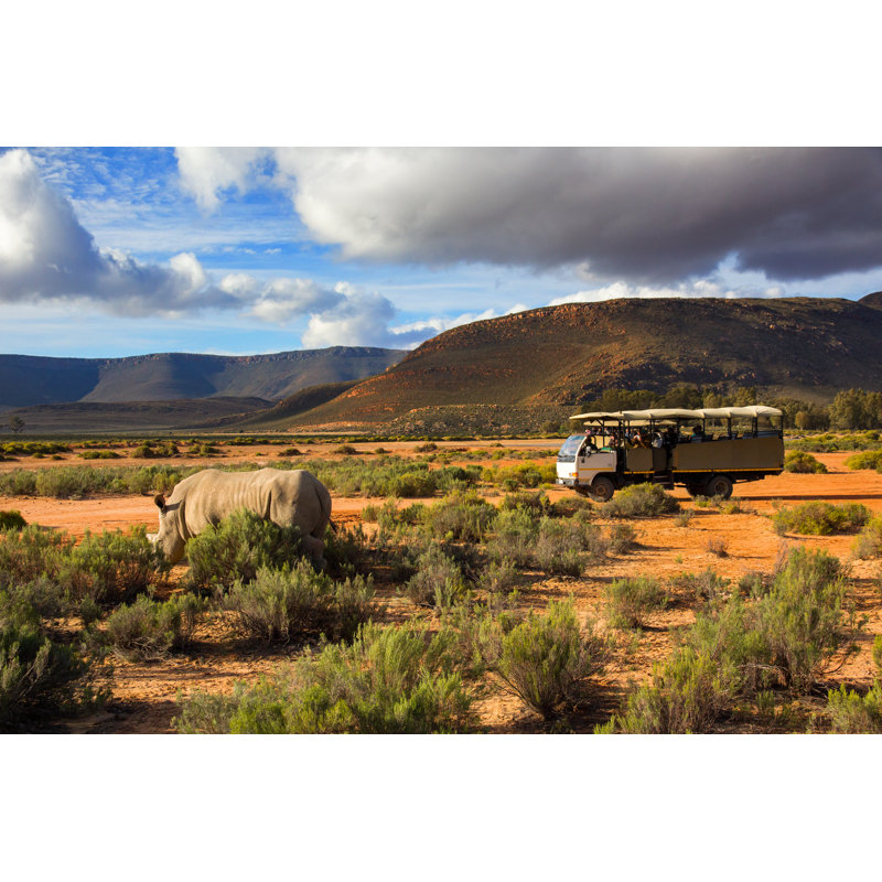 Wildlife Rhino by VwPix - Wrapped Canvas Print, 20cm H x 30cm W 