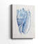 Shell II - Cavas enveloppés de galerie-1592762880
