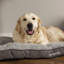 Cosy Polyester Pet Bed
