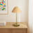 Stevie LED Cordless Table Lamp-1963914987