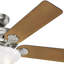 Ventilateur de plafond standard à 5 pales 52 po avec chaînette et ensemble d’éclairage inclus Buchanan-24742912