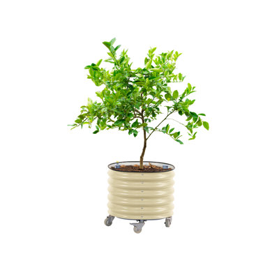 Jardinière d'extérieur ronde en métal à arrosage automatique, roulante, 22 po de hauteur et 24 po de largeur