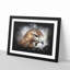 Hawk - Picture Frame Graphic Art Print-56863368-56863372