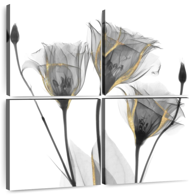 Gentians ornés Harnek
