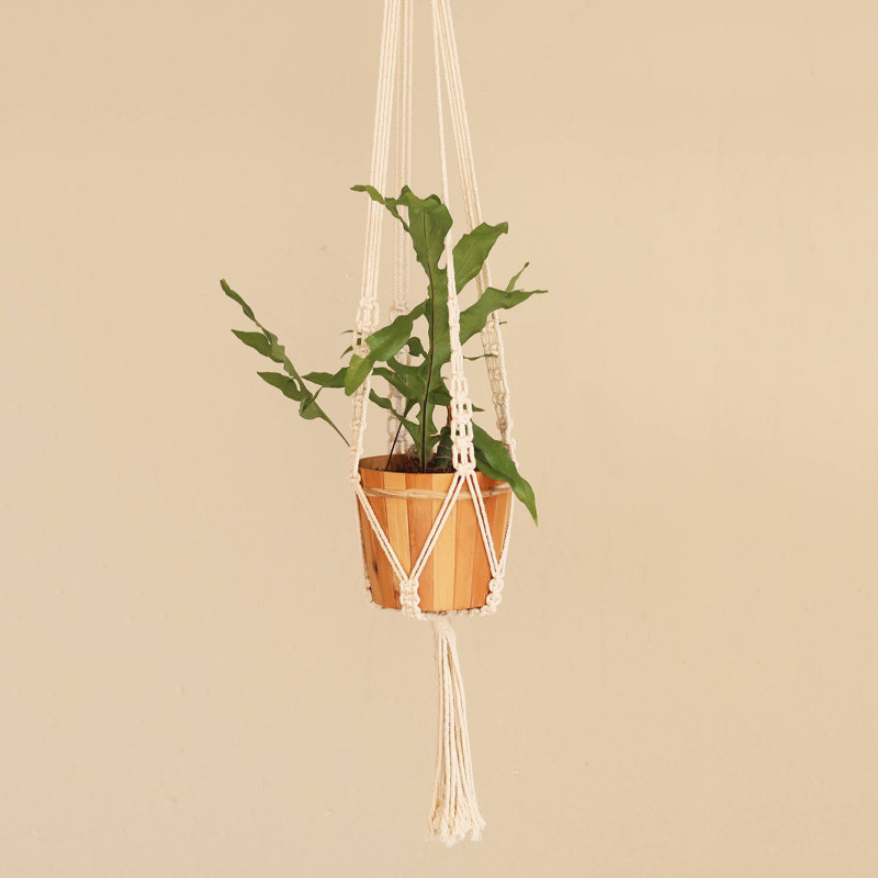 Mickey Handmade Hanging Planter