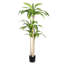 Arbre Dracaena artificiel 5 ', plante d'intérieur artificielle réaliste dans un pot en plastique noir pour le salon et le bureau
