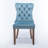 Gayna Velvet Side Chair-1739262420-1739262423