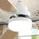 Lieschen 52'' Ceiling Fan with LED Lights