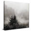 «Rising Mist, Smoky Mountains» par Nicholas Bell - photographie-1619123783-1619123780