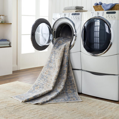 Jadence Machine Washable Oriental Area Rug
