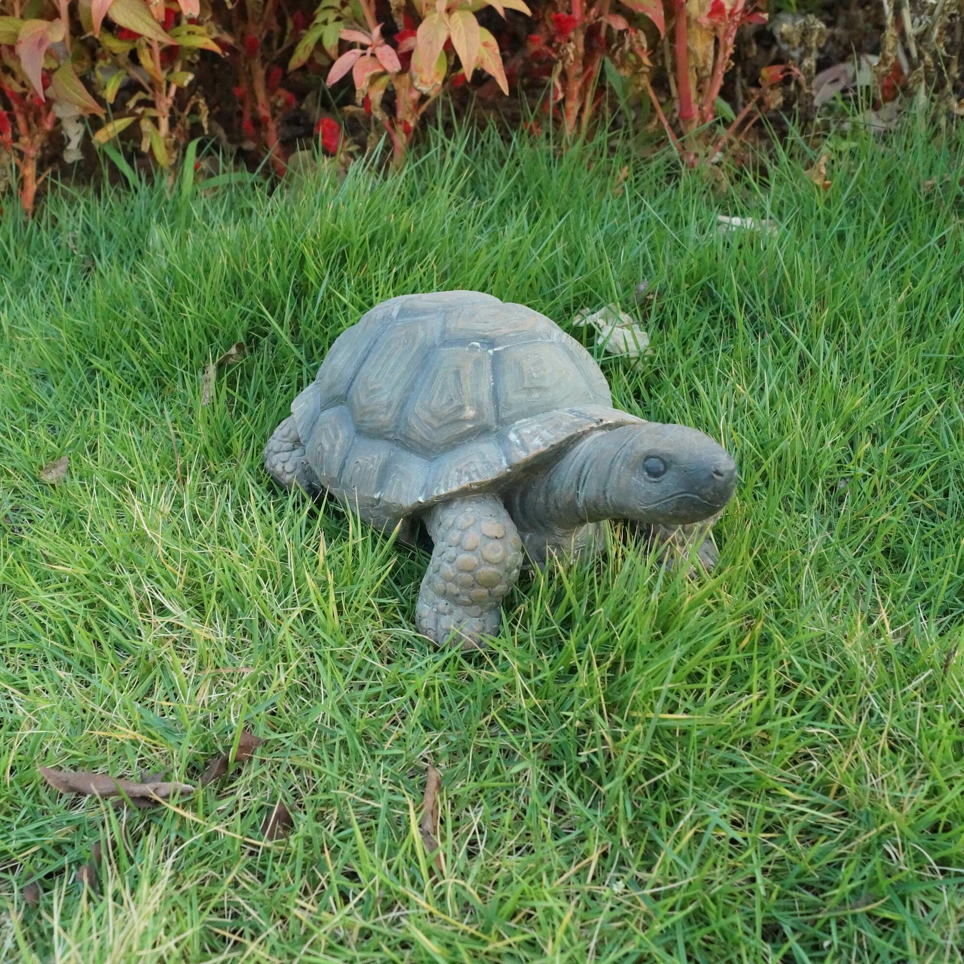 Hi-line Gift Ltd. Turtle Statue & Reviews 