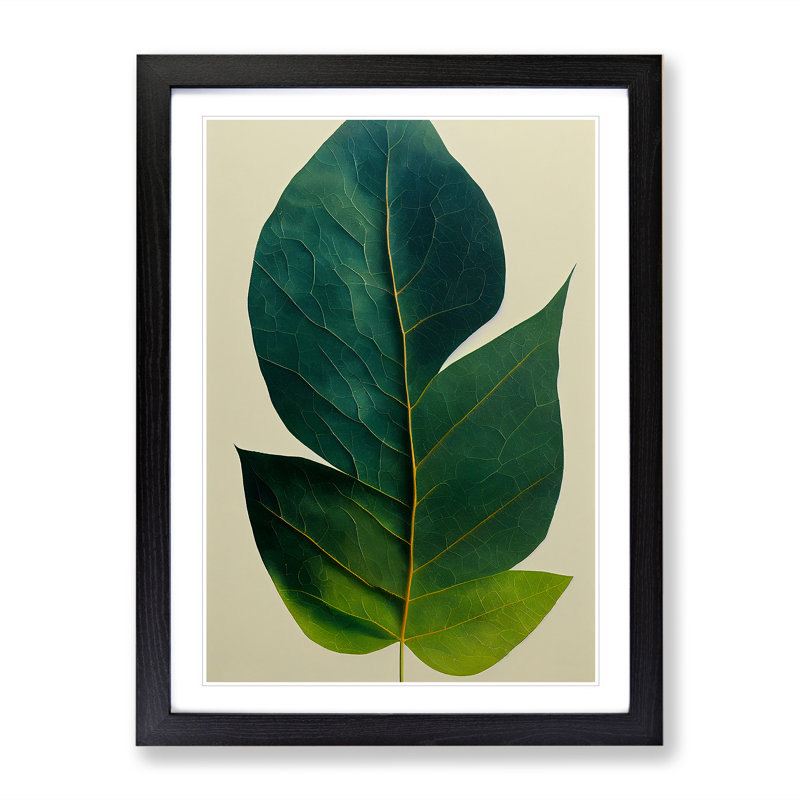Single Plant Leaf No.2 - Framed Print, Black Framed, 64cm H x 46cm W x 2cm D