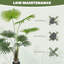 Faux Palm Tree in Pot-541601573