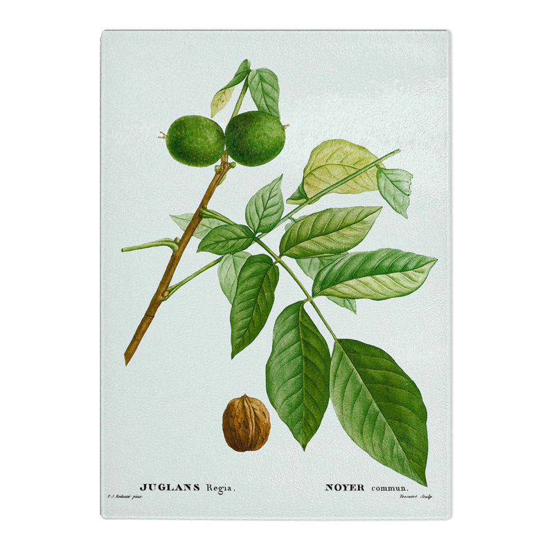 Tempered Glass English Walnut Tree by Pierre-Joseph Redoute Chopping Board, 39cm W x 28.5cm L