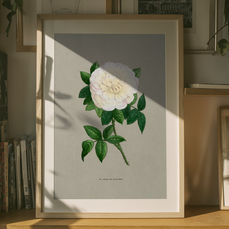 Wrapped Canvas Print, 76.2 cm H x 50.8 cm W