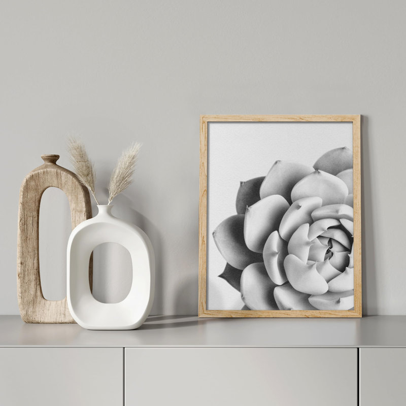 «Succulent Cactus Black and White Rosebud Gros plan» sur papier, H 10 po x l 8 po, Naturel